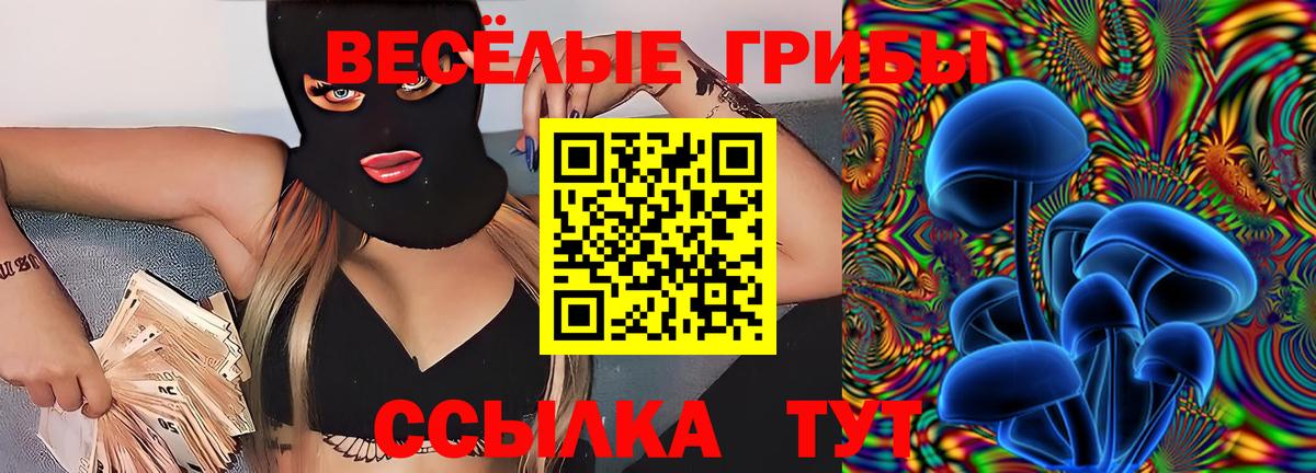 Галлюциногенные грибы Magic Shrooms  купить  цена  Тулун  Вход с VPN 