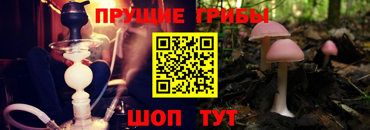 Галлюциногенные грибы MAGIC MUSHROOMS Тулун